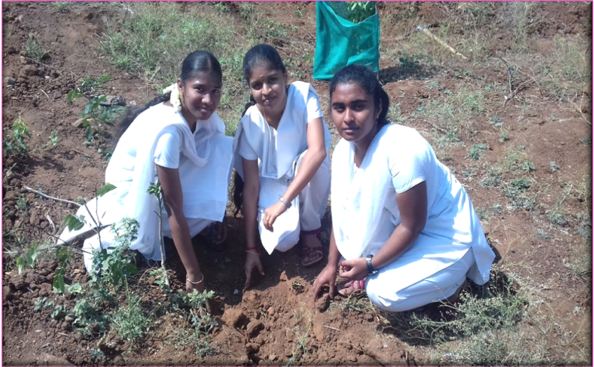 Planting Palm Seeds by NSS Volunteers at Ponparappipatti Village,Namakkal